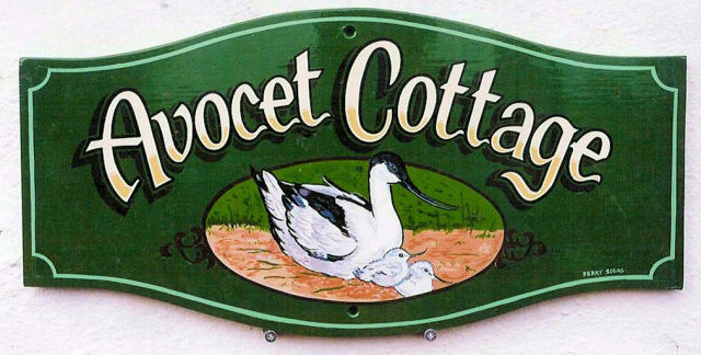 creative lettering and design - Perry Signs